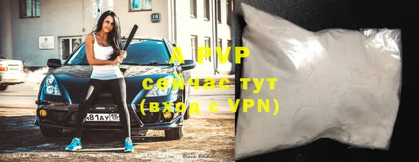 прущие грибы Нефтекумск
