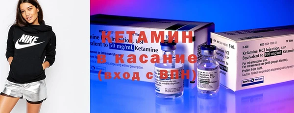 стаф Новодвинск