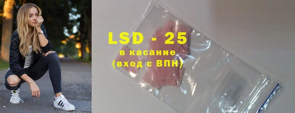 прущие грибы Нефтекумск