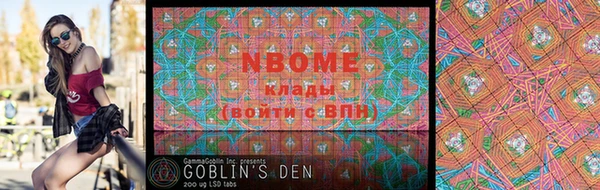 стаф Новодвинск