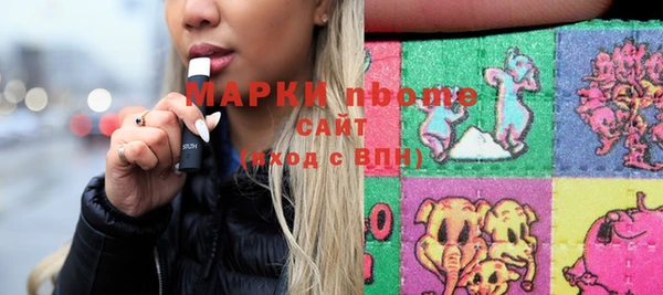 стаф Новодвинск