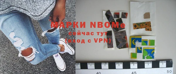 стаф Новодвинск