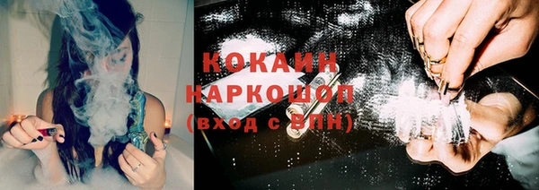 стаф Нея