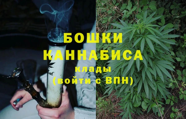прущие грибы Нефтекумск