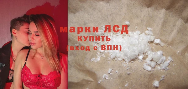 стаф Новодвинск