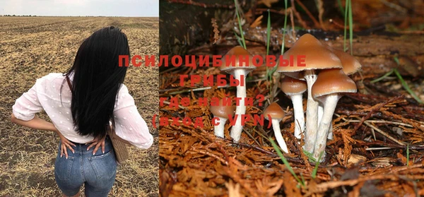 стаф Новодвинск