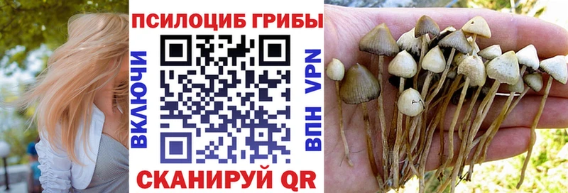 Псилоцибиновые грибы Psilocybine cubensis  маркетплейс телеграм  Кимовск 