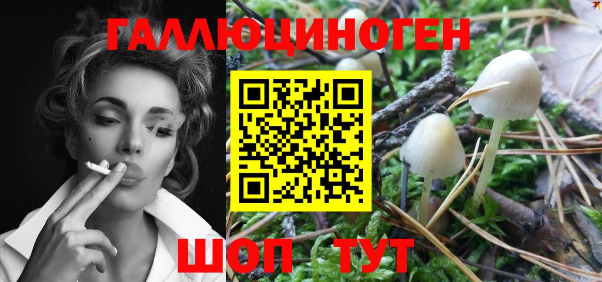 Галлюциногенные грибы прущие грибы  Псилоцибиновые грибы GOLDEN TEACHER  Вход с VPN  Кимовск 